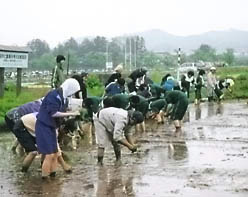 5���̎��K�c�@�c�A��