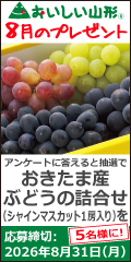 ���������R�`�v���[���g